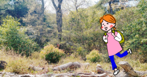 ソロ活・甲山登山！運動不足の主婦には特におすすめだよ